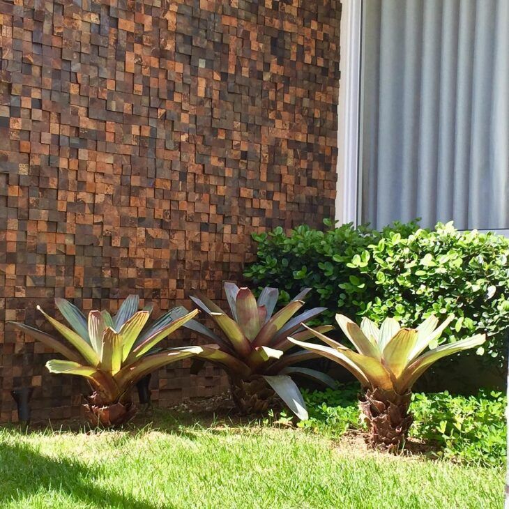 Parede externa revestida com mosaico de Pedra Ferro